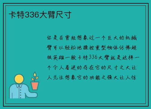 卡特336大臂尺寸