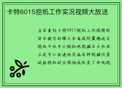 卡特6015挖机工作实况视频大放送