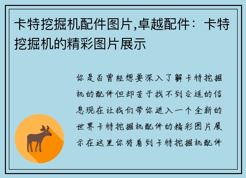 卡特挖掘机配件图片,卓越配件：卡特挖掘机的精彩图片展示